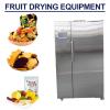 110-115V Low Vibration Fruit Drying Equipment,Environmentally Friendly