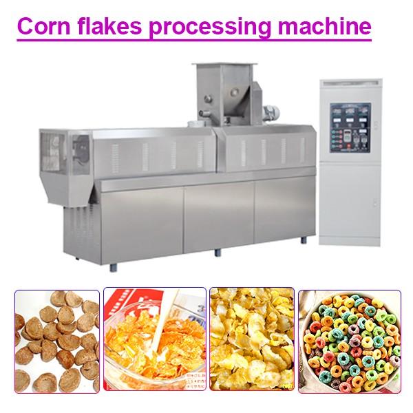 100KW 304 Stainless Steel Corn Flakes Processing Machine,Fully Automatic #1 image