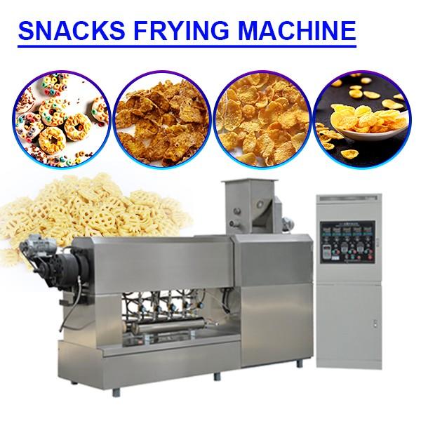 CE Certification 380v snacks frying machine with self-cleaning #1 image