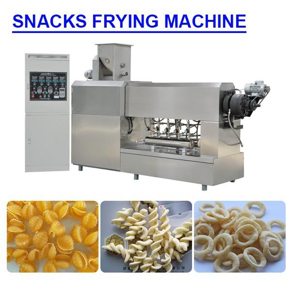 Customzied Energy saving snacks frying machine with 100-120kg/h Capacity #1 image