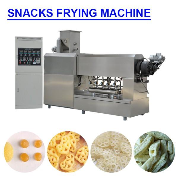 380V/50Hz Industrialization Stainless Steel 304 Snacks Frying Machine #1 image