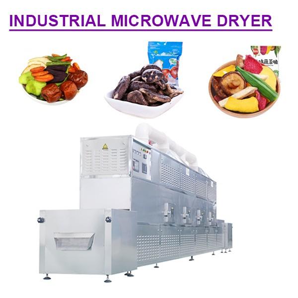 Hot Air Cycle  Multifunction industrial microwave dryer with fruits as raw material #1 image