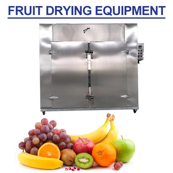 Energy-Saving Fruit Dryer Machine Dry Fruit Roasting Machine,No Contamination #1 image