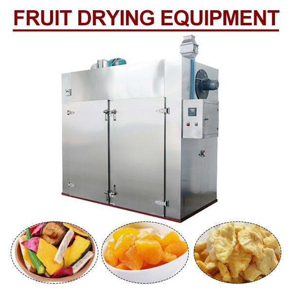 Reliable High Efficiency Fruit Drying Equipment For Commercial Usage #1 image