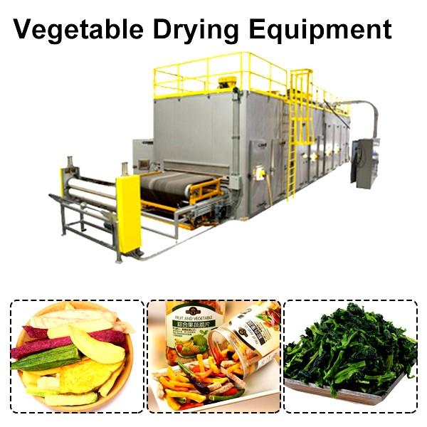 380v Customized Vegetable Drying Equipment,Stable And Reliable #1 image