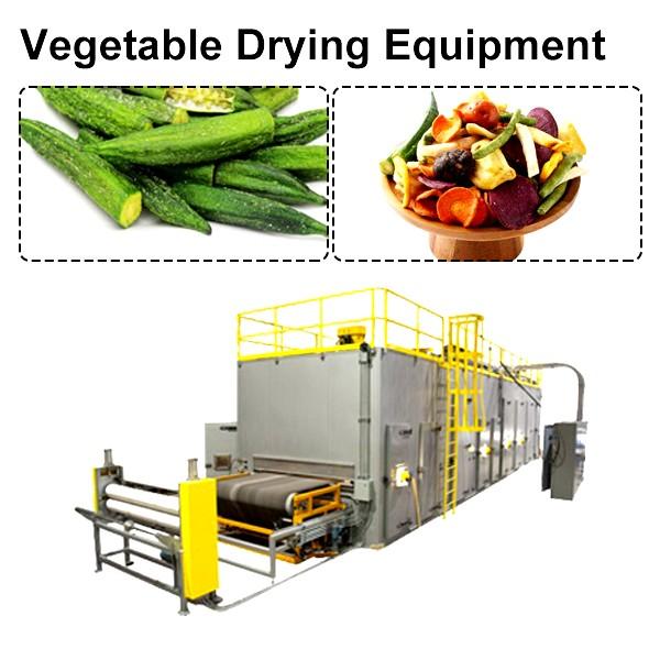 CE Certification Stainless Steel Vegetable Drying Equipment With Low Cost #1 image