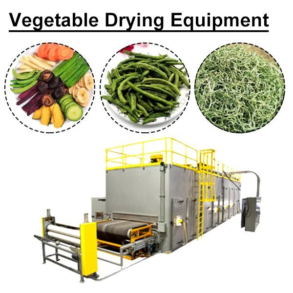 Energy Saving Vegetable Drying Equipment Tomato Dehydrator Machine,Efficient #1 image
