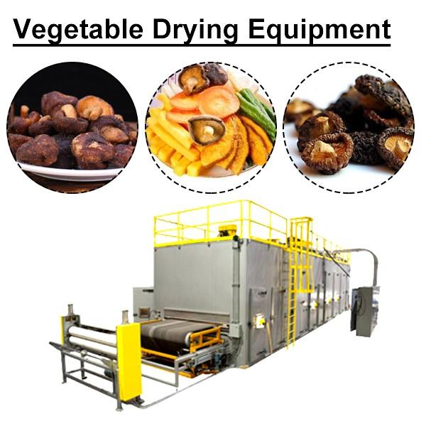 11kw Automatic Vegetable Drying Machine,Fruit And Vegetable Dehydration Machine #1 image