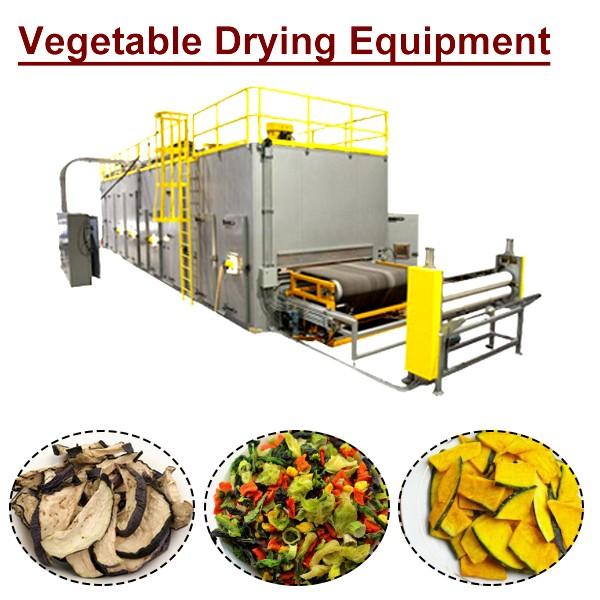 Multi-Functional Vegetable Drying Equipment With Low Consumption High Efficiency #1 image
