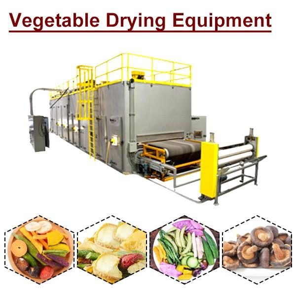 ISO Certification Automatic Vegetable Drying Equipment With Low Energy Consumption #1 image